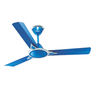 Tulip (Mid Night Blue)